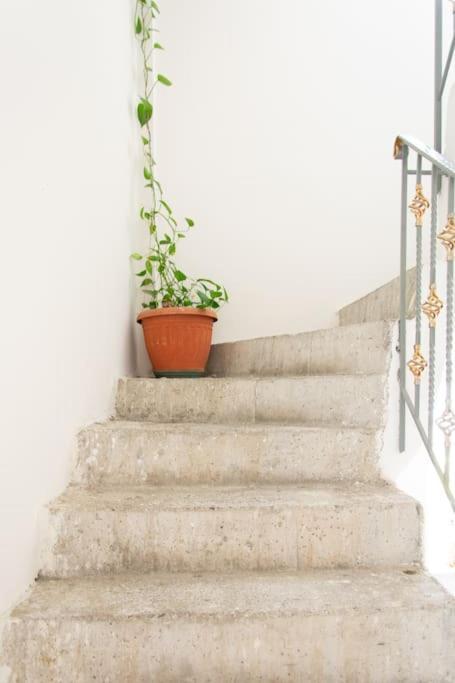 Kadiani'S Residence By 8Essentially Chania  ภายนอก รูปภาพ
